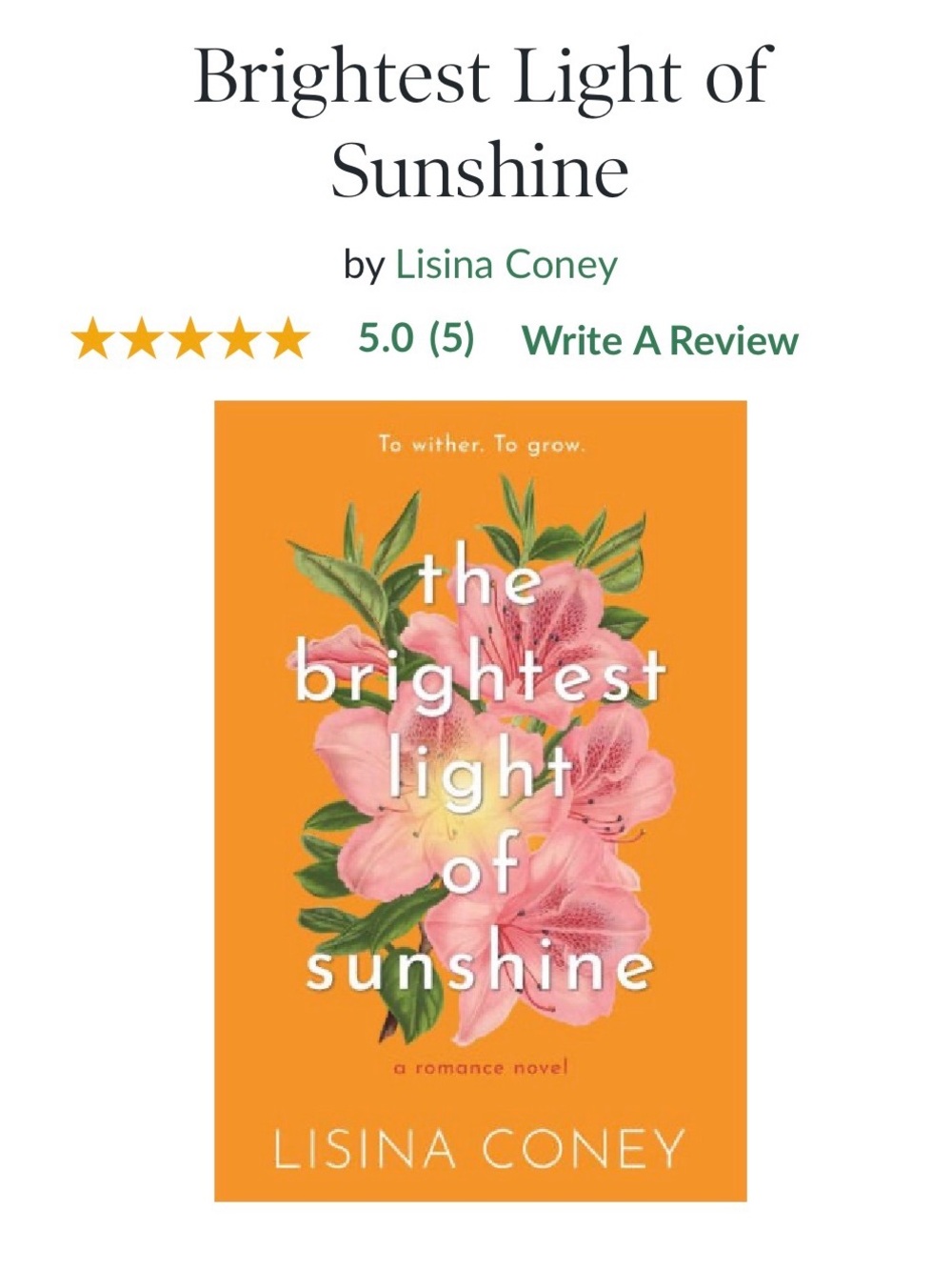 The Brightest Light of Sunshine by Lisa Coney
